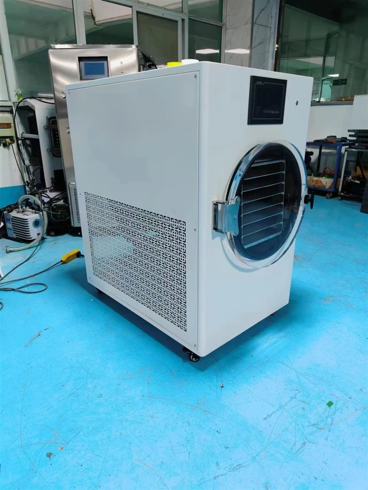 Household Small Freeze Dryer